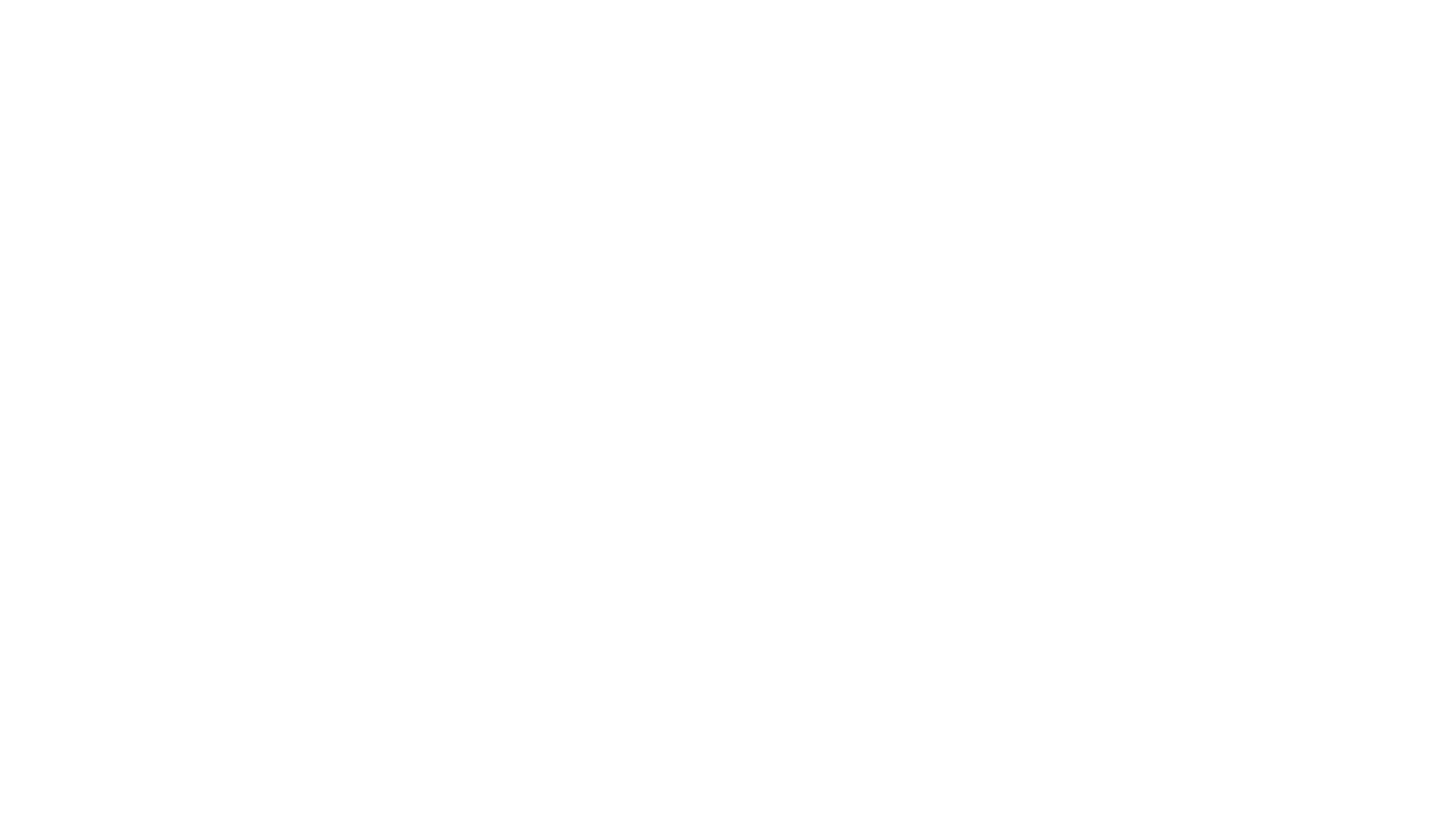 Open Gate International Film Festival Official Selection LOVED The Movie
